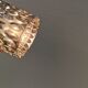 Hanging lamp from Danish Nordlux.
