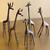 Series of 5 golden brass giraffes