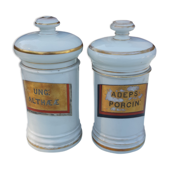 Pair of pots a porcelain pharmacy 19th