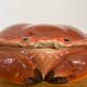 Terrine box "crab" Michel Caugant