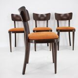 1950s Set of Four Restored Dining Chairs, Czechoslovakia