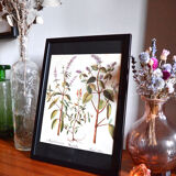 Framed pharmaceutical board