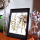 Framed pharmaceutical board
