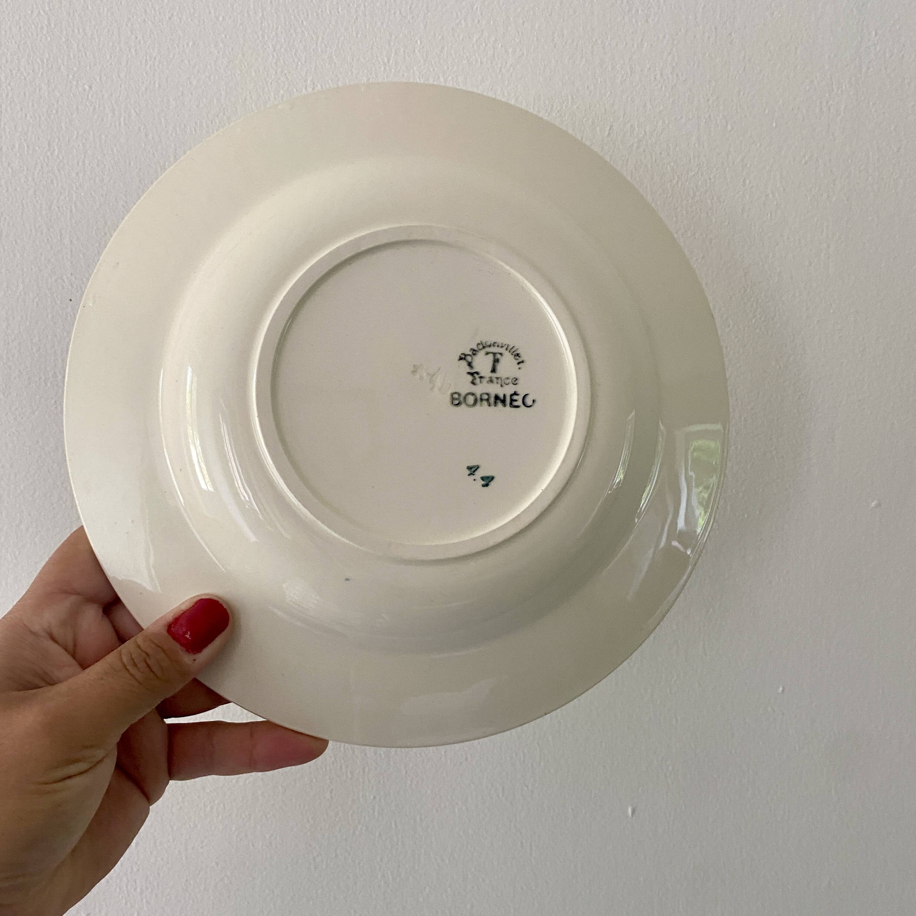 Lot of 10 old soup plates - Badonvillier Bornéo model