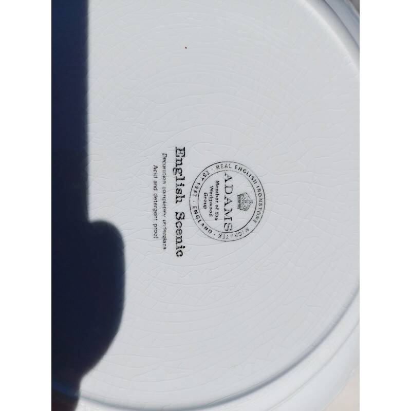 12 earthenware plates from the brand: Adams