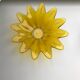 Flower empty pocket