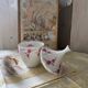 Limoges porcelain cup with lid