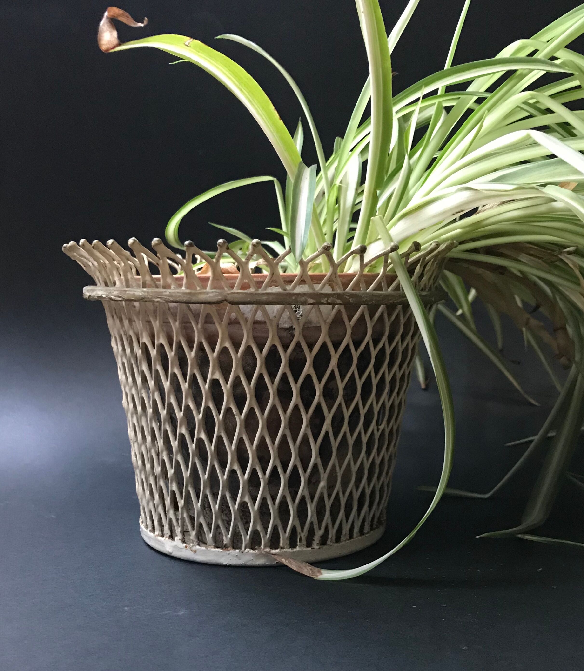 Metal Mathieu Mategot pot cover, circa 1950