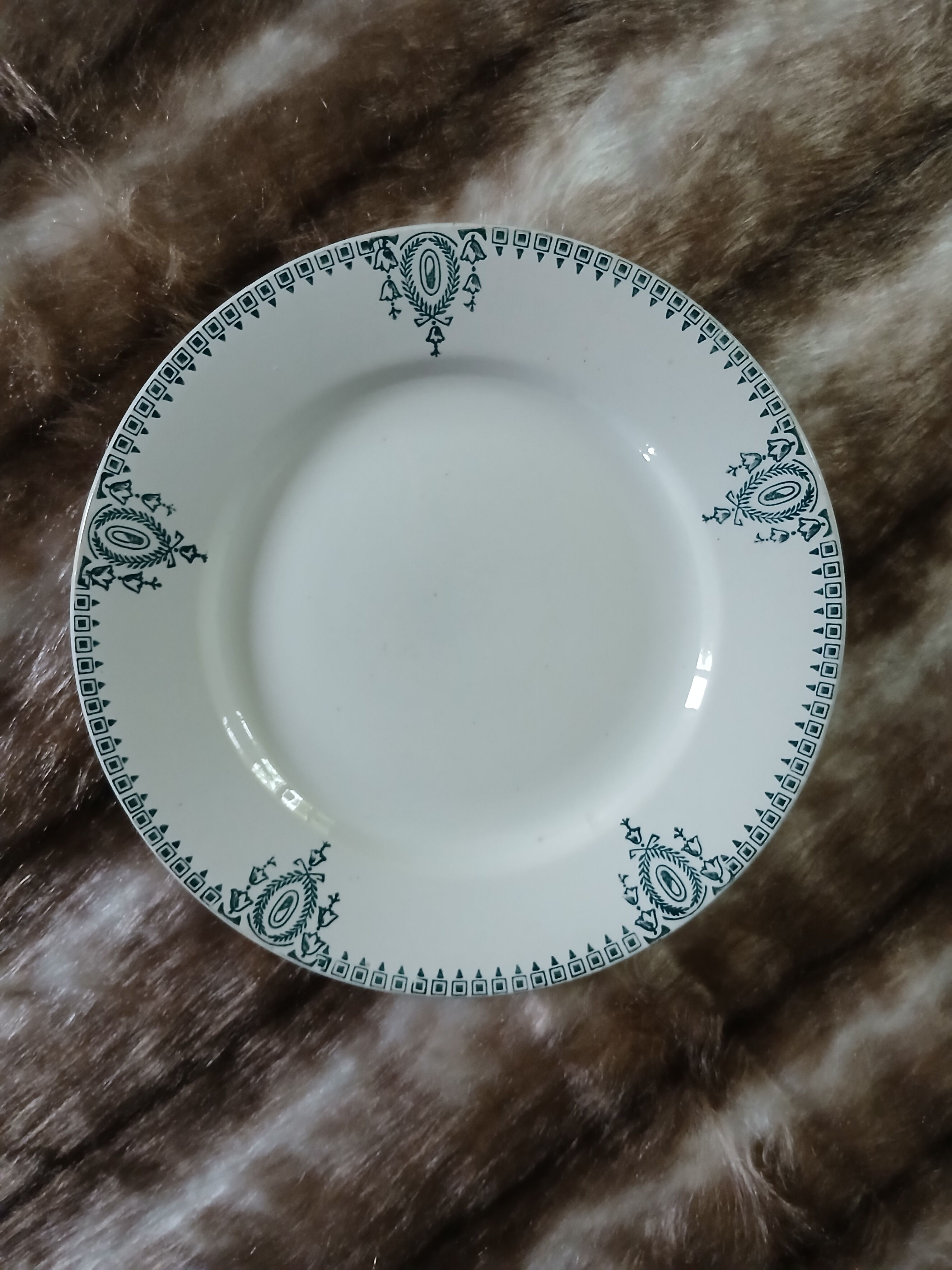 10 assiettes plates anciennes en Terre de fer