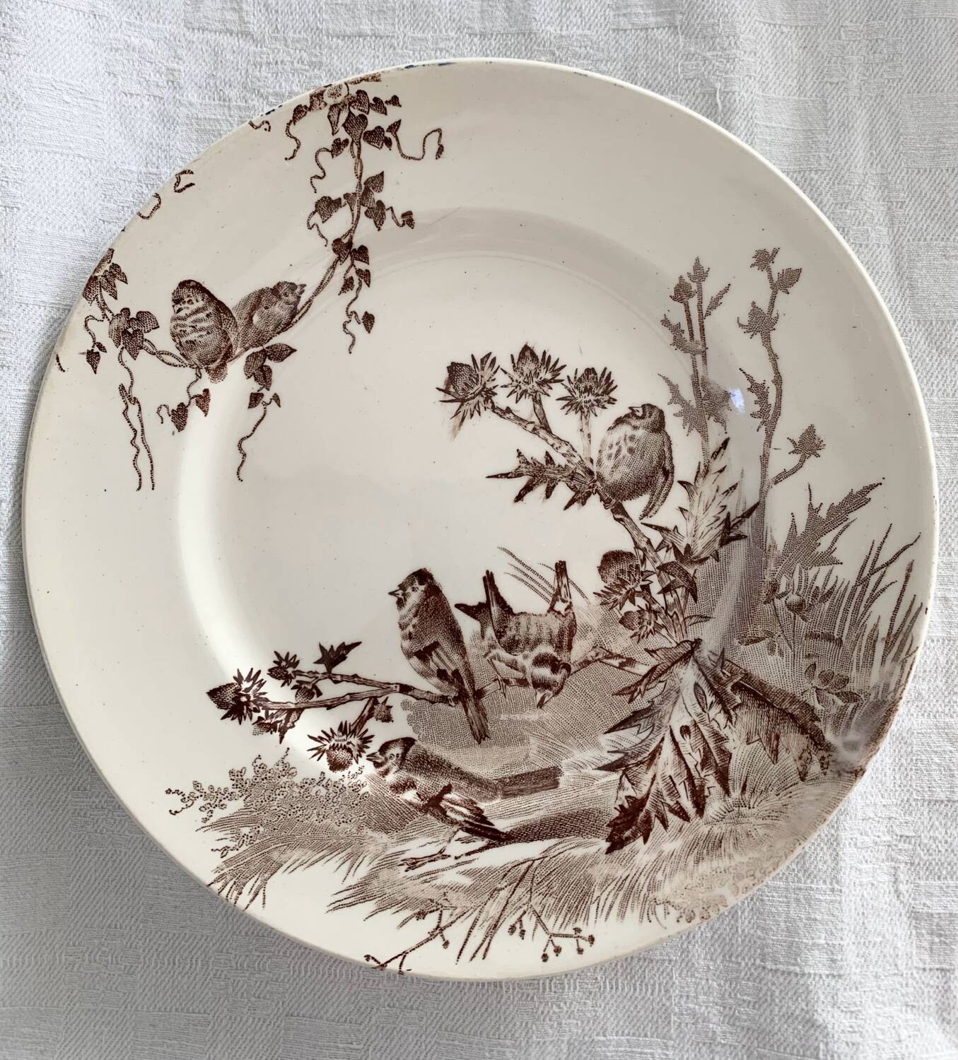 Dessert plates creil et montereau service chardonneret
