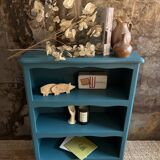 Duck blue bibus bookcase