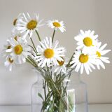 Vase en verre