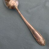 Set of 6 teaspoons in silver metal