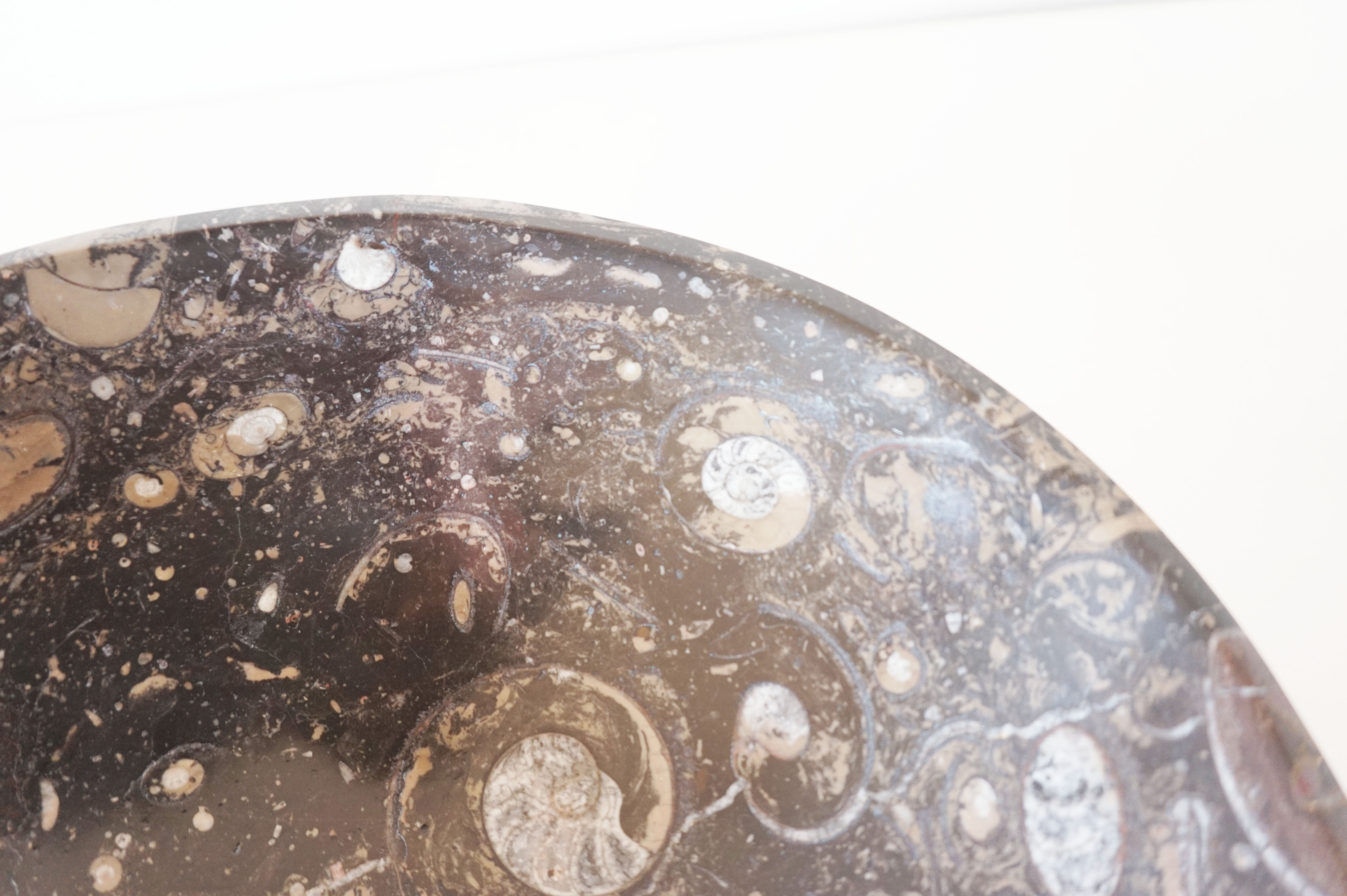 Empty pocket in fossilized black marble