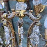 Chandelier cage bronze grapevines