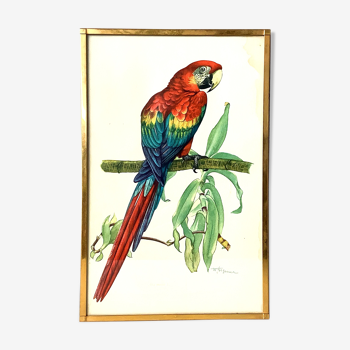 Vintage Naturalist Ornithological Board - Macau Macau