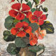 Peinture huile sur toile capucines fleurs vintage