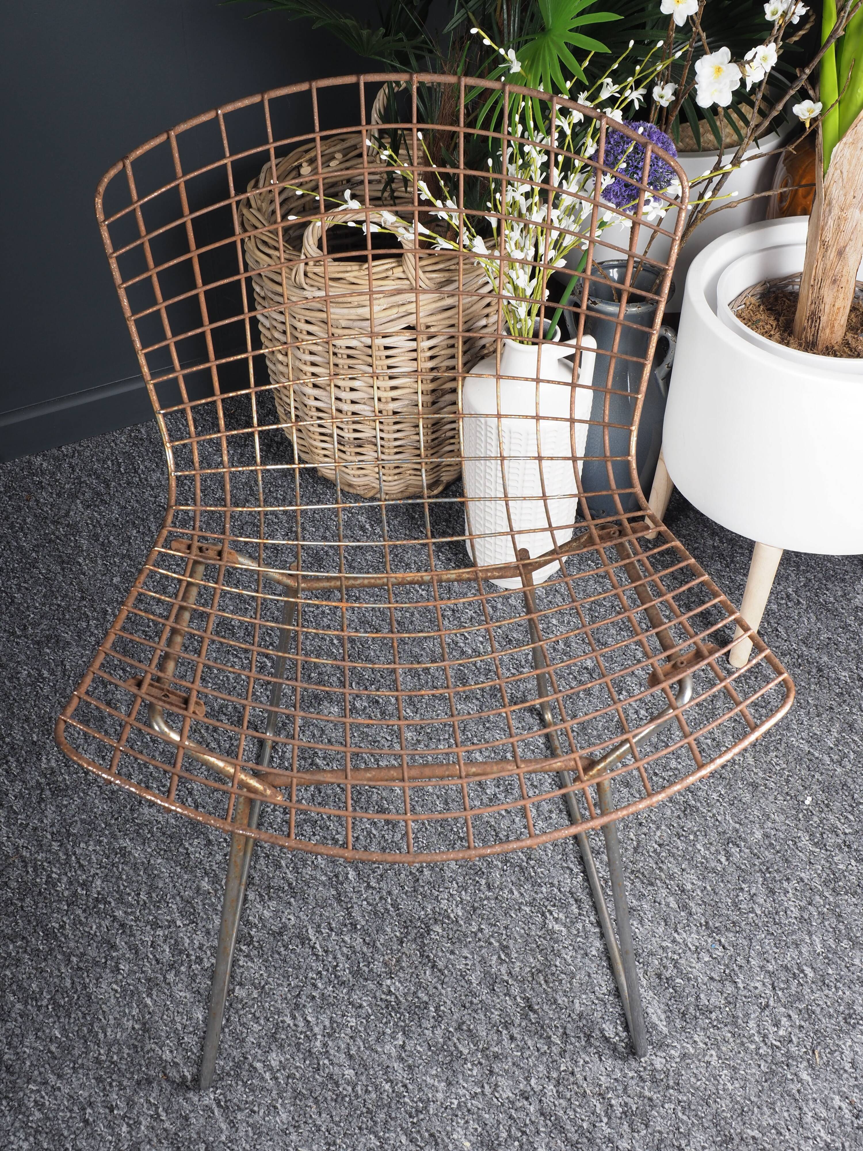 Pair of chairs by Harry Bertoia 80