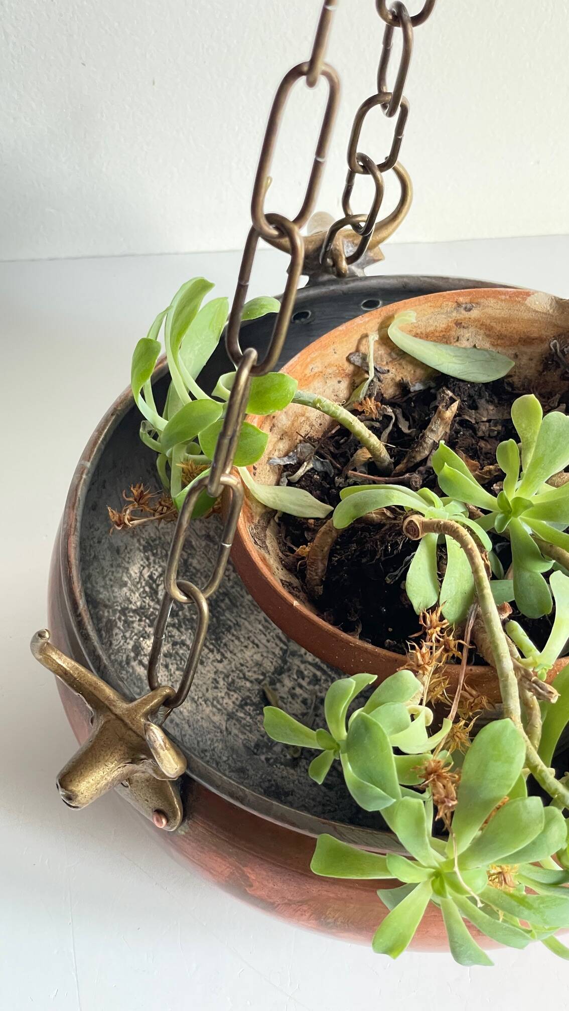 Cache-pot suspendu aux 3 buffles vintage