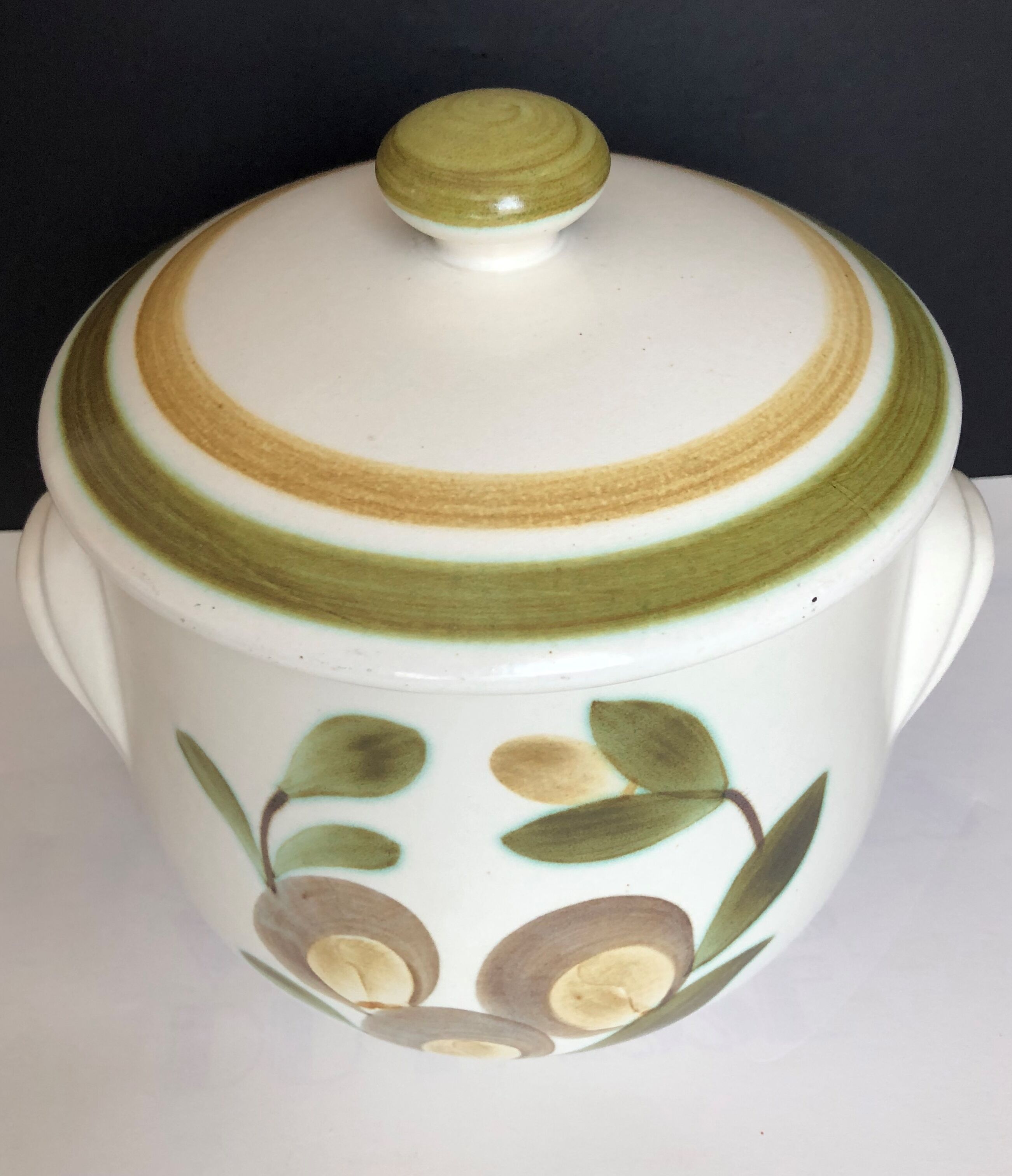 Soup pot in GIEN earthenware