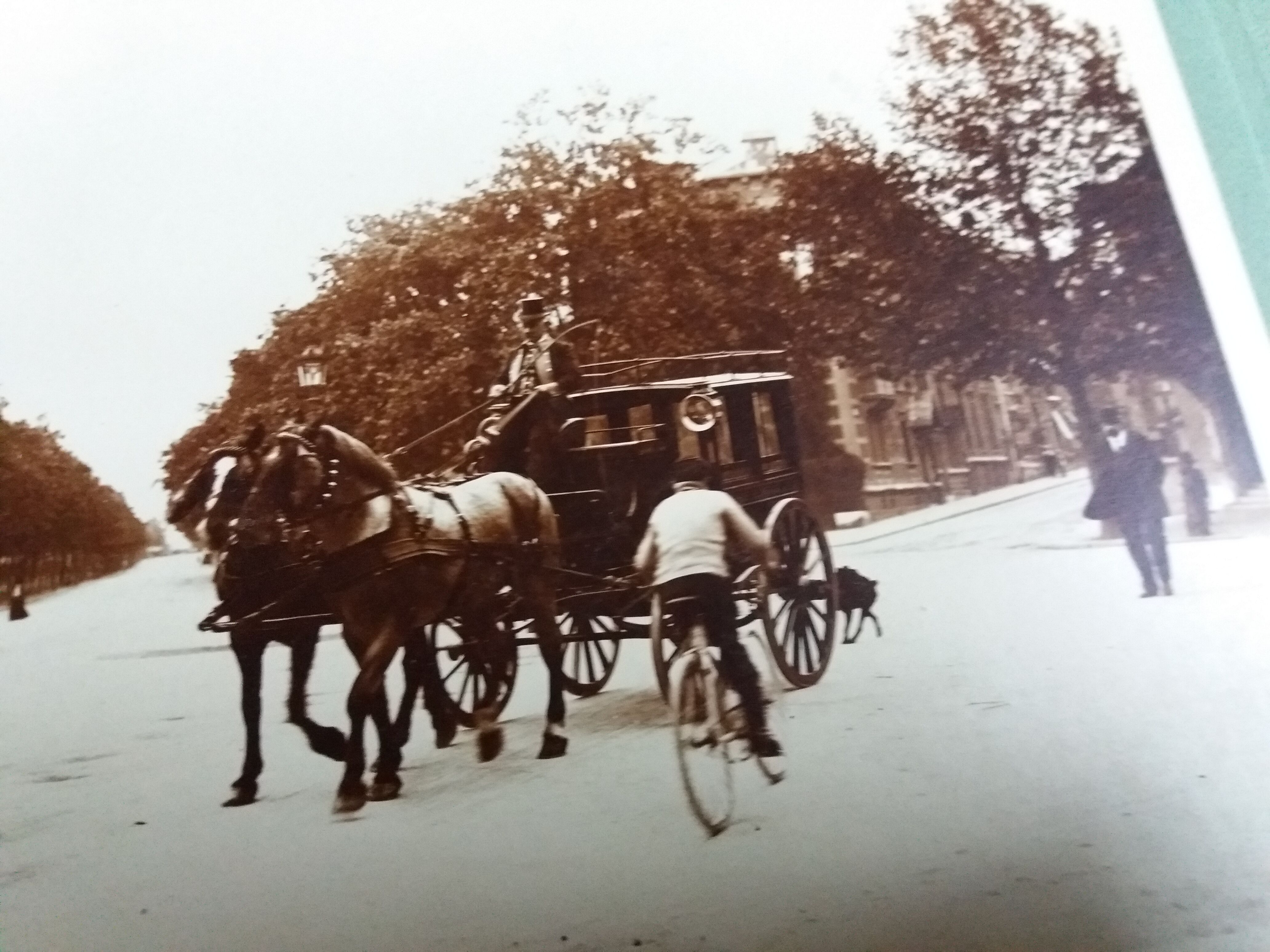 Old photograph 1900 stagecoach, horses and coachman State Railways
