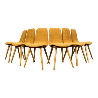 Ensemble de 6 chaises modèle A 6150 de Zakłady Mebli Giętych Radomsko Fameg 1960s