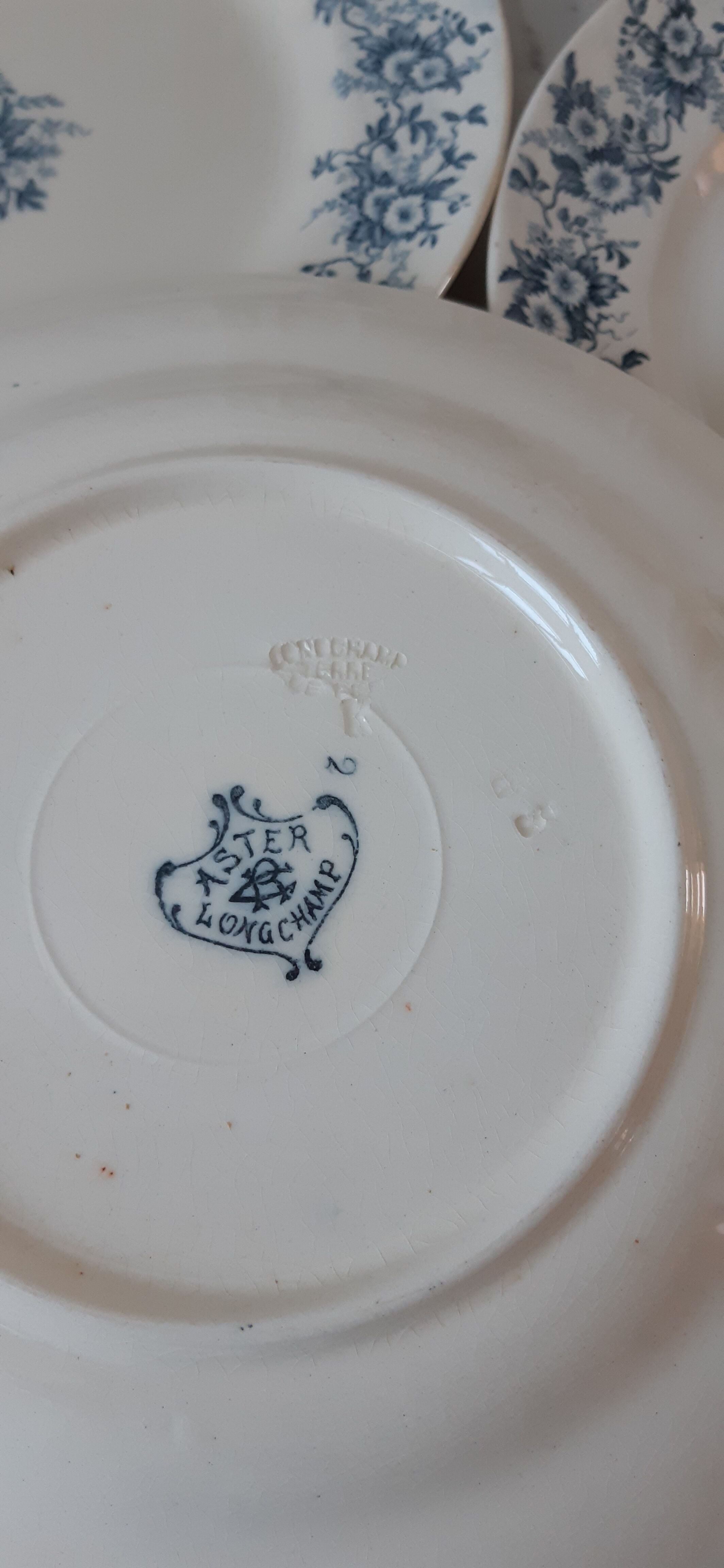 Set of 6 flat plates Terre de Fer model "Aster" XIXth