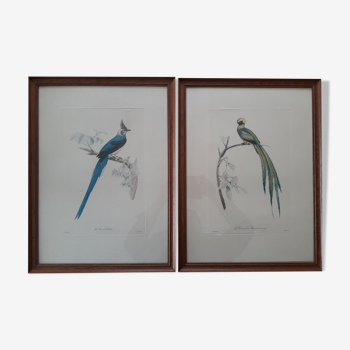 Paire de lithographies animalières (oiseaux)