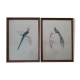 Pair of animal lithographs (birds)