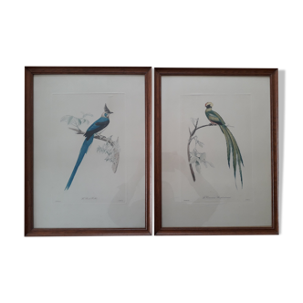 Pair of animal lithographs (birds)