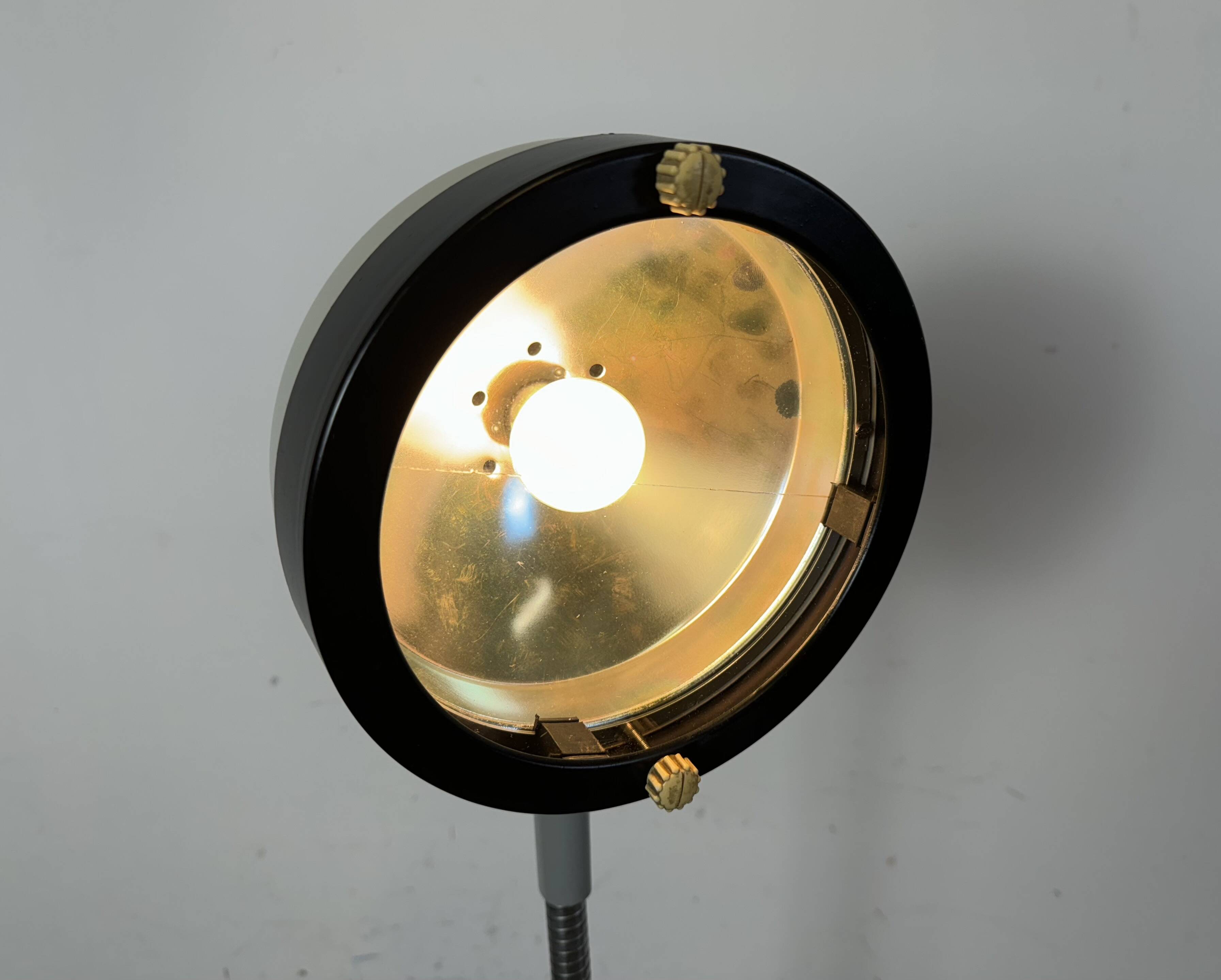 Vintage Medical Gooseneck Floor Lamp from Famed, 1970s