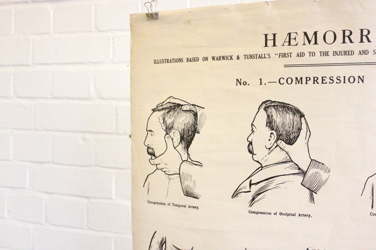 Displays educational anatomical bleeding