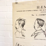 Displays educational anatomical bleeding