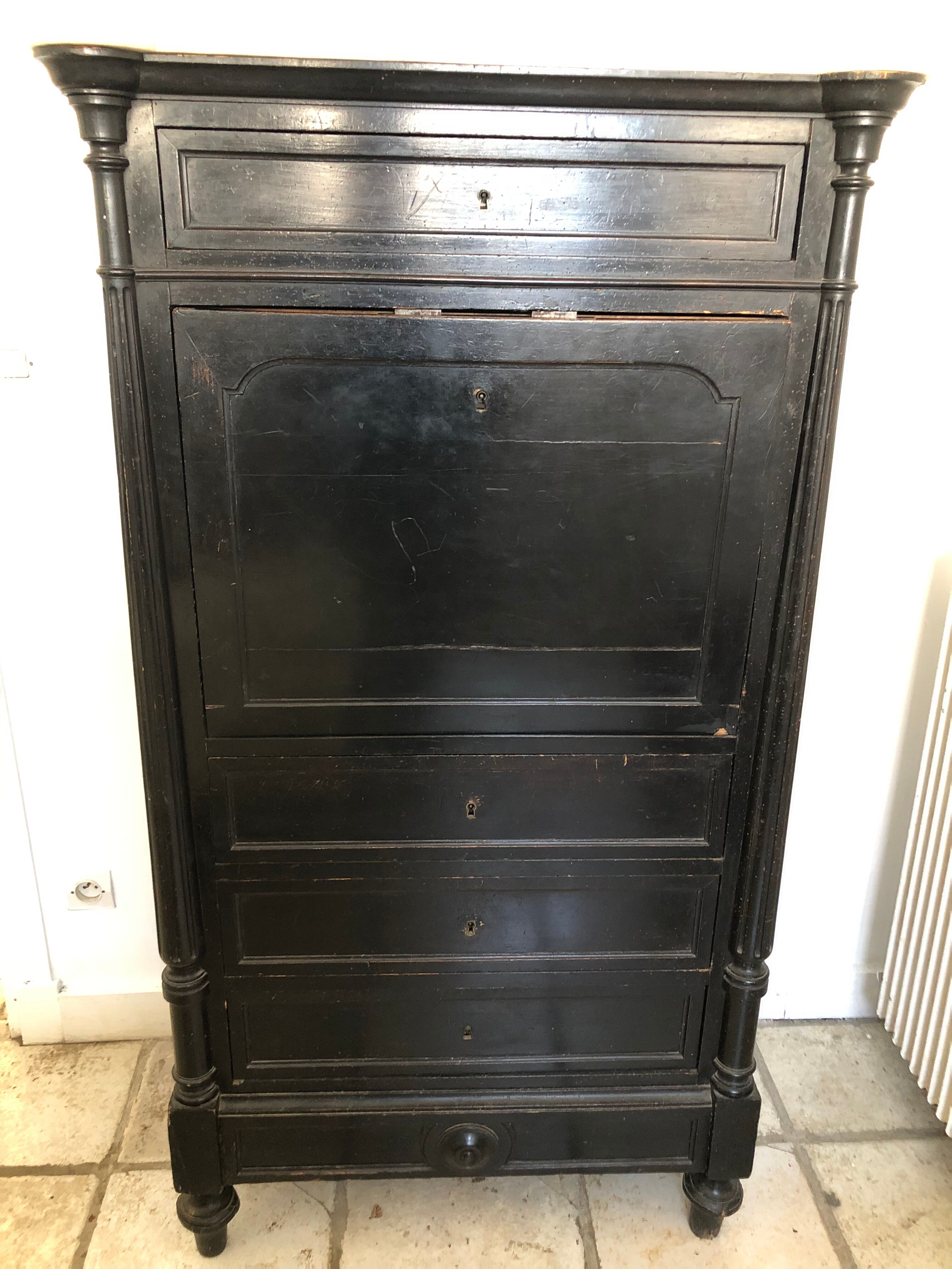 Secretary Napoleon III