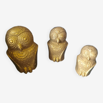 Trio of owls