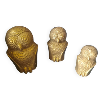Trio of owls