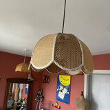 Jute suspension
