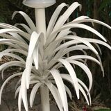 Palm lamppost by Sergio Terzani