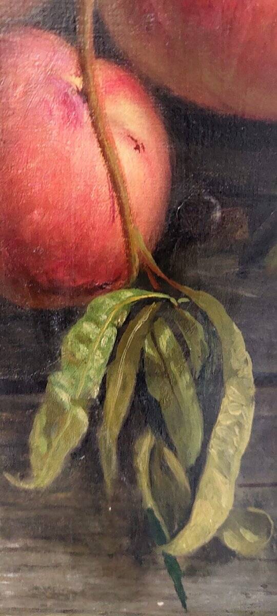 Zingoni Aurelio Florence 1853-1922, oil on canvas, still life