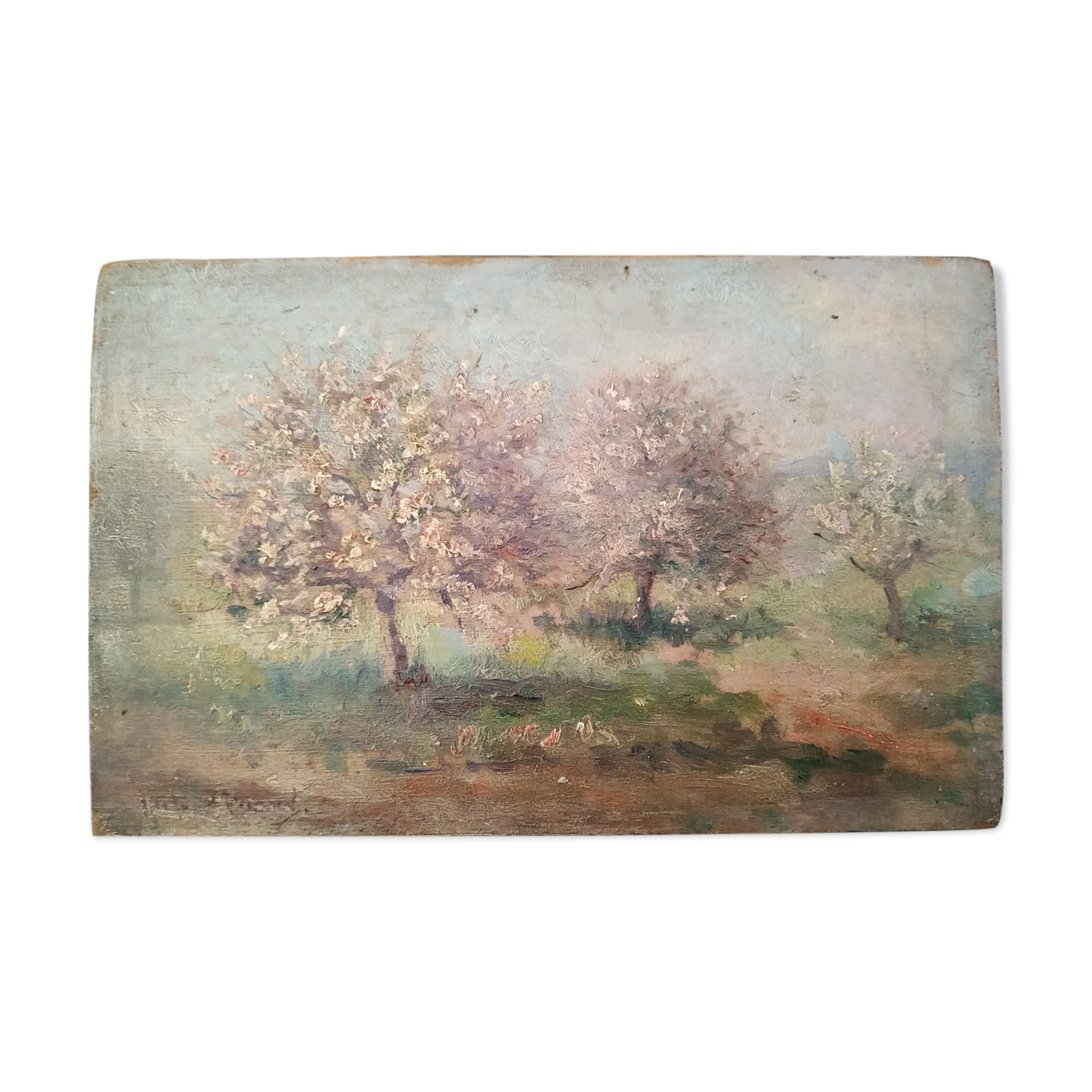 Les pommiers en fleurs huile sur panneau