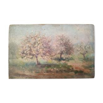 Les pommiers en fleurs huile sur panneau