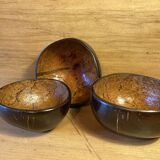Coconut bowls