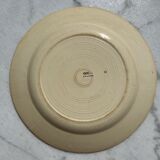 7 gien plates