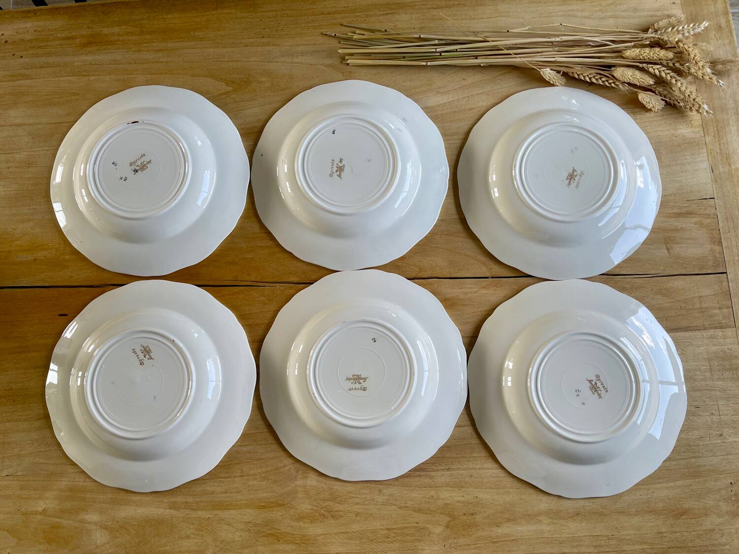Set of 6 Sarreguemines Agreste plates