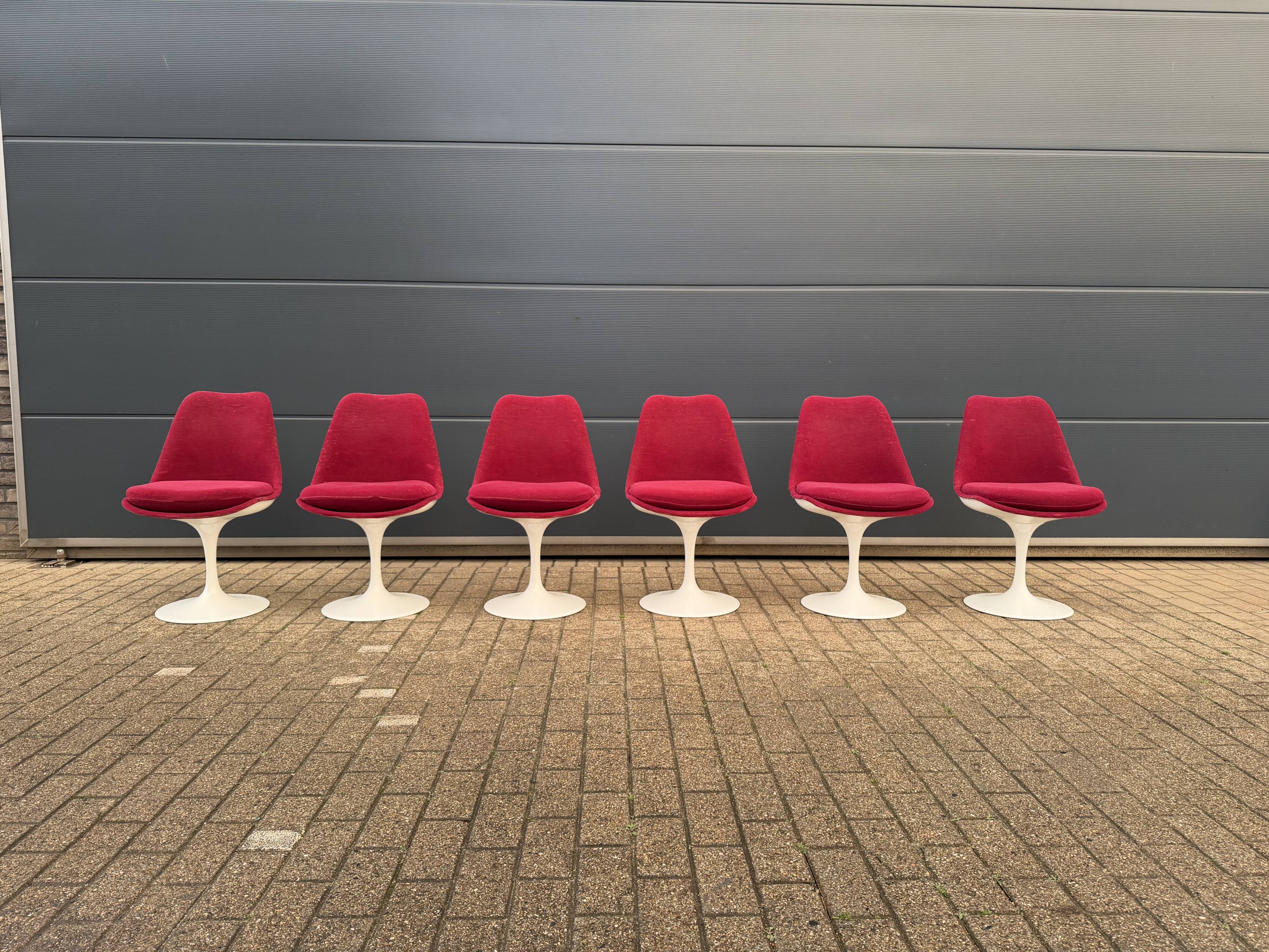6 original vintage Knoll Tulip chairs by Eero Saarinen