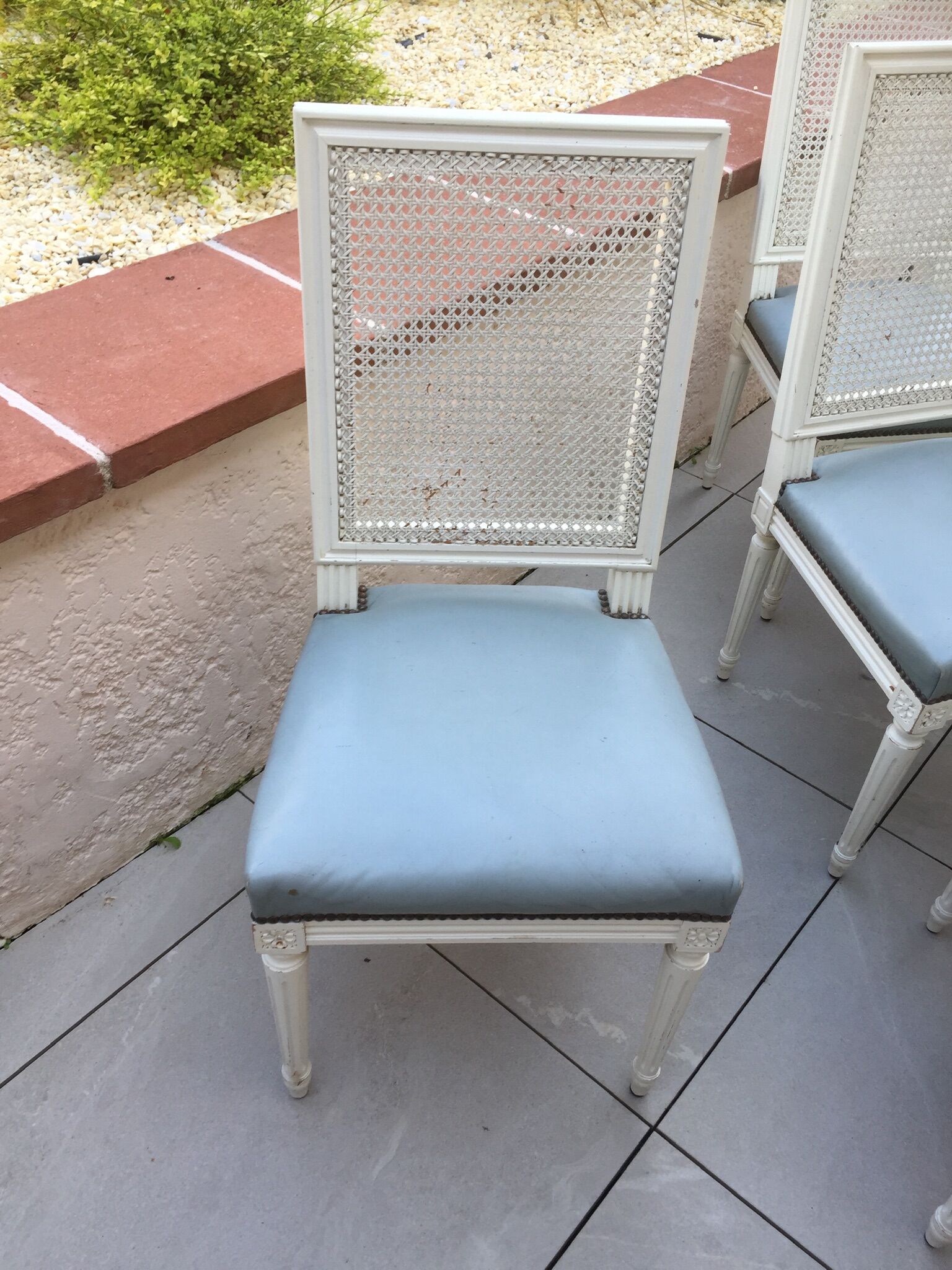 6 Louis XVI style chairs with canned back and leather seat