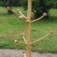 Brutalist coat rack on boxwood stand