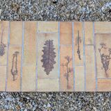 Vintage Herbier Coffee Table Capron Barrois Vallauris