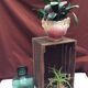 Old wooden box stamped dimension: height -33cm- width -61 cm- Pr-33cm-