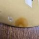 Gien ochre yellow oyster plate – Seafood & wall decor